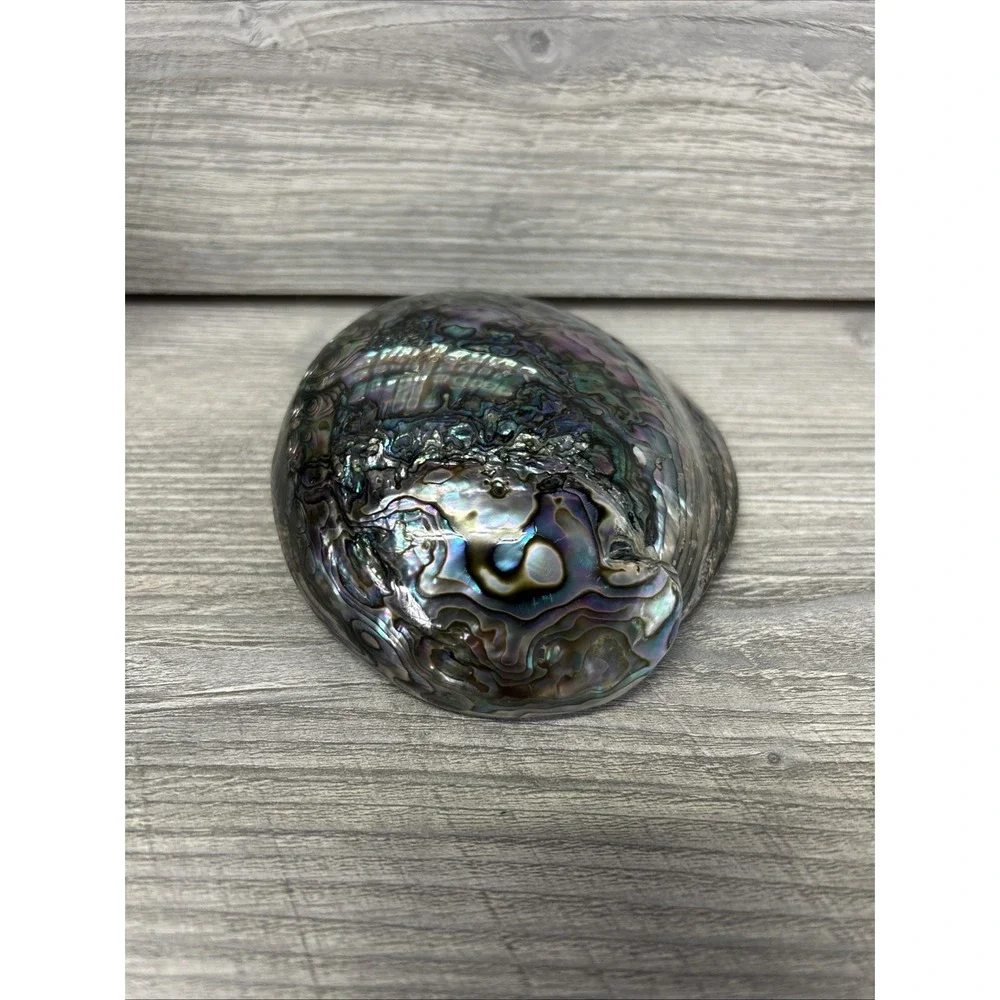 Large Abalone Seashell Iridescent Bowl Beach Home‎ Decor Pearl A3